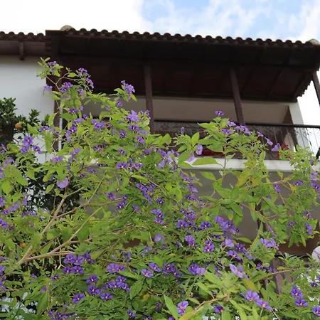 Sofia 度假居 Marathos (Thessaly)