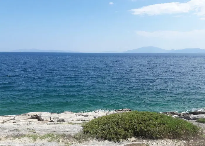 Sofia Casa de Férias *